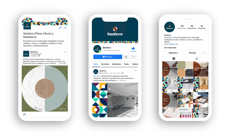 divisiones_monos1