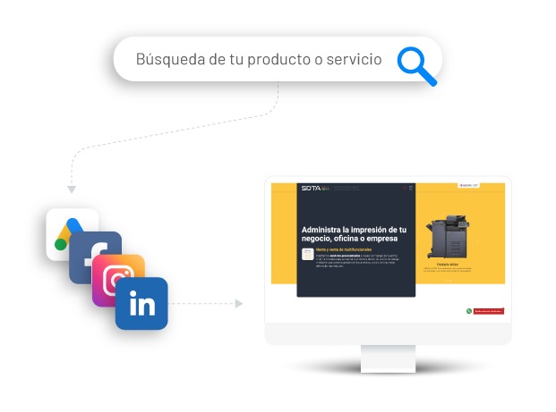 divisiones_monos2